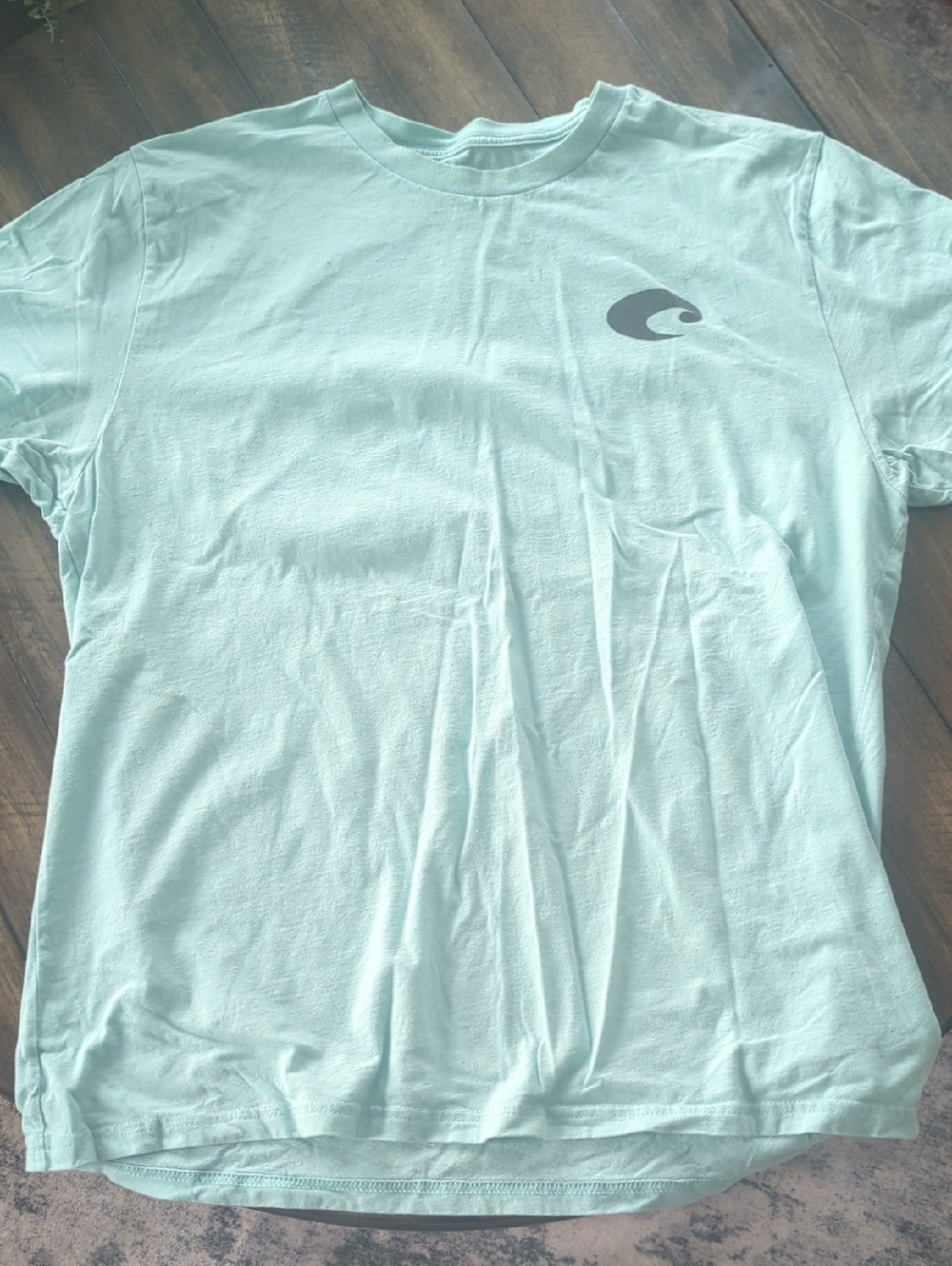 Costa Mint Green Logo Tee with Palm Graphic